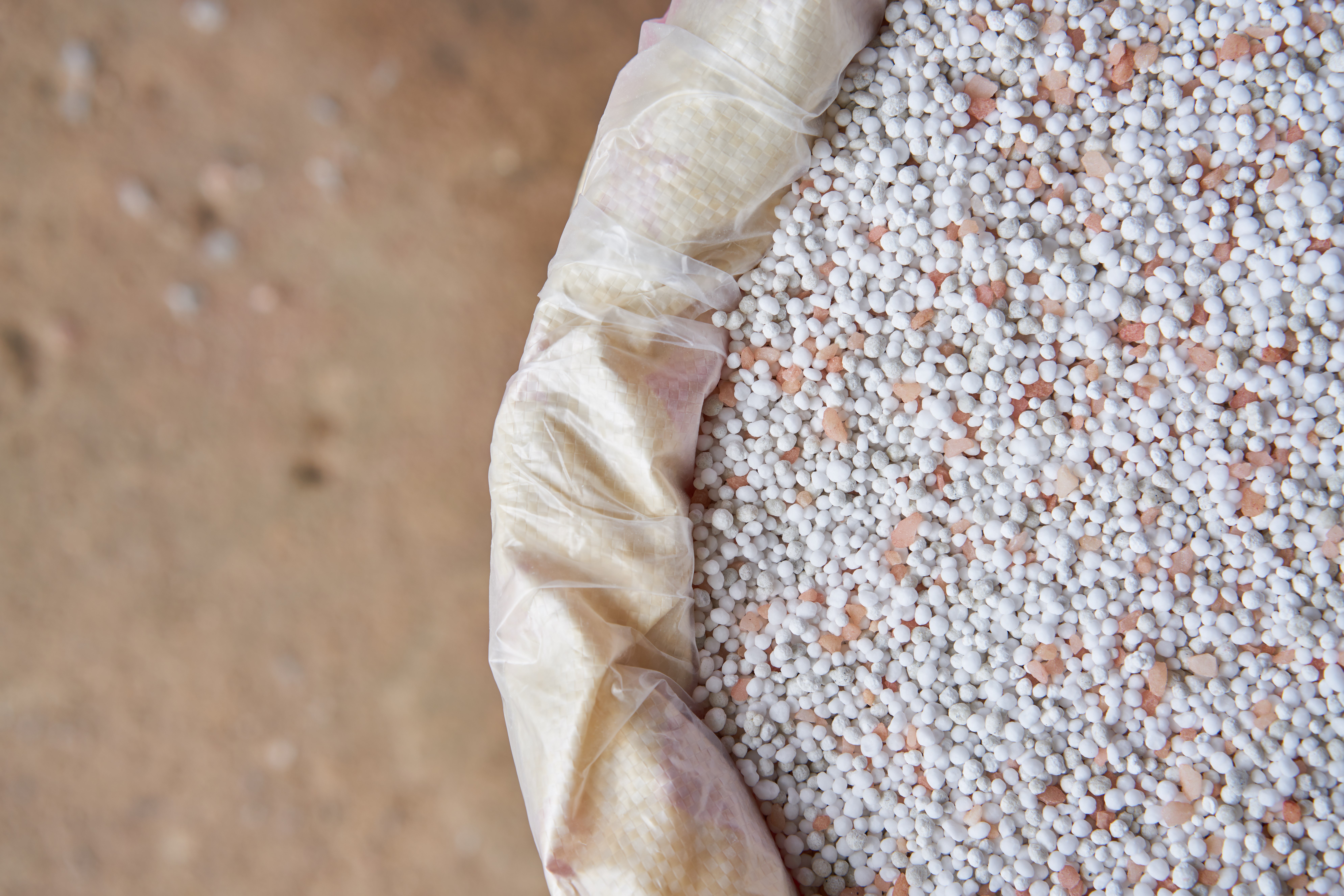 Closeup of chemical fertilizer granules in an open sack